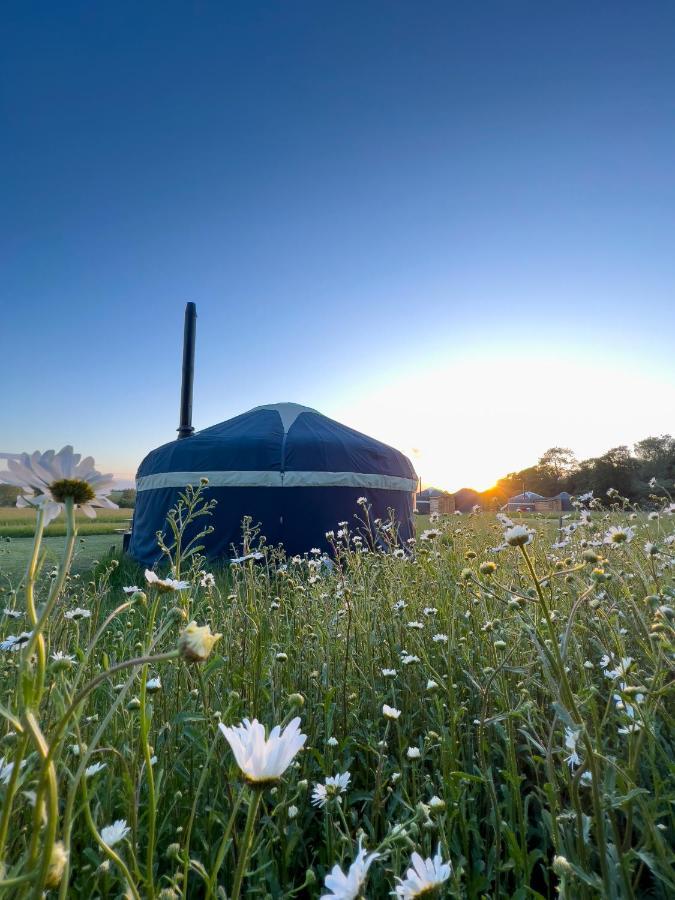 Wild Meadow, Lodge Farm, East Raynham Факенхем Экстерьер фото