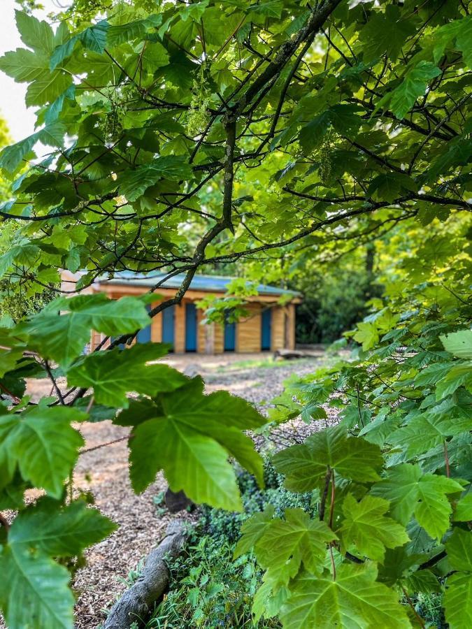 Wild Meadow, Lodge Farm, East Raynham Факенхем Экстерьер фото