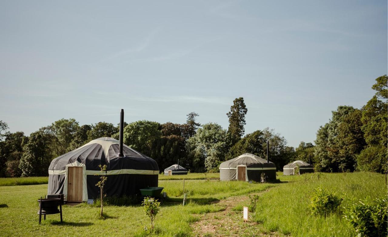 Wild Meadow, Lodge Farm, East Raynham Факенхем Экстерьер фото