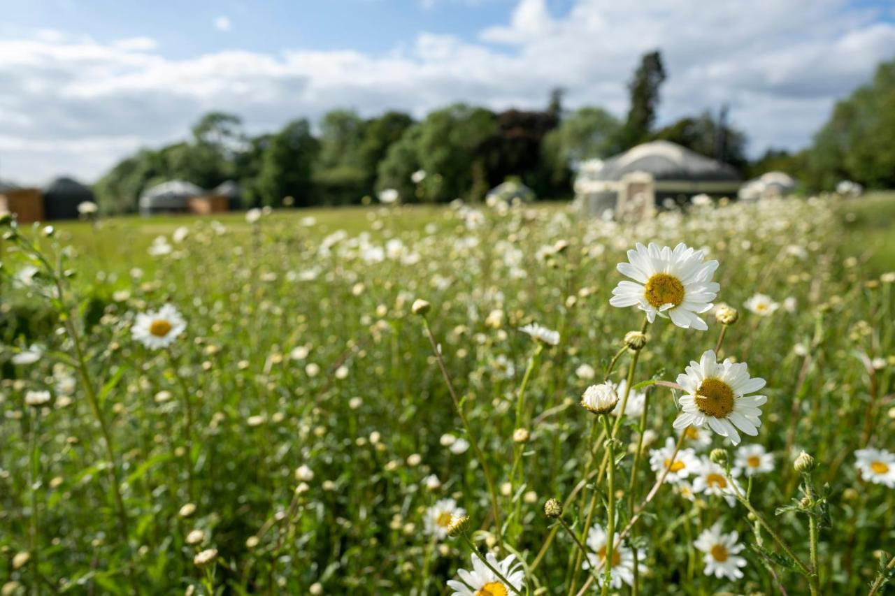 Wild Meadow, Lodge Farm, East Raynham Факенхем Экстерьер фото