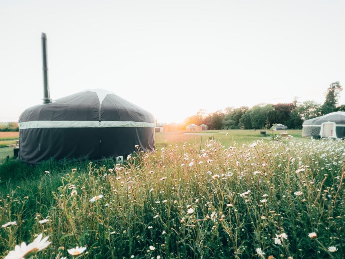 Wild Meadow, Lodge Farm, East Raynham Факенхем Экстерьер фото