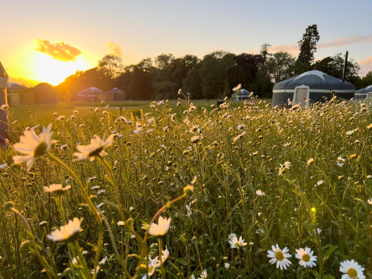 Wild Meadow, Lodge Farm, East Raynham Факенхем Экстерьер фото